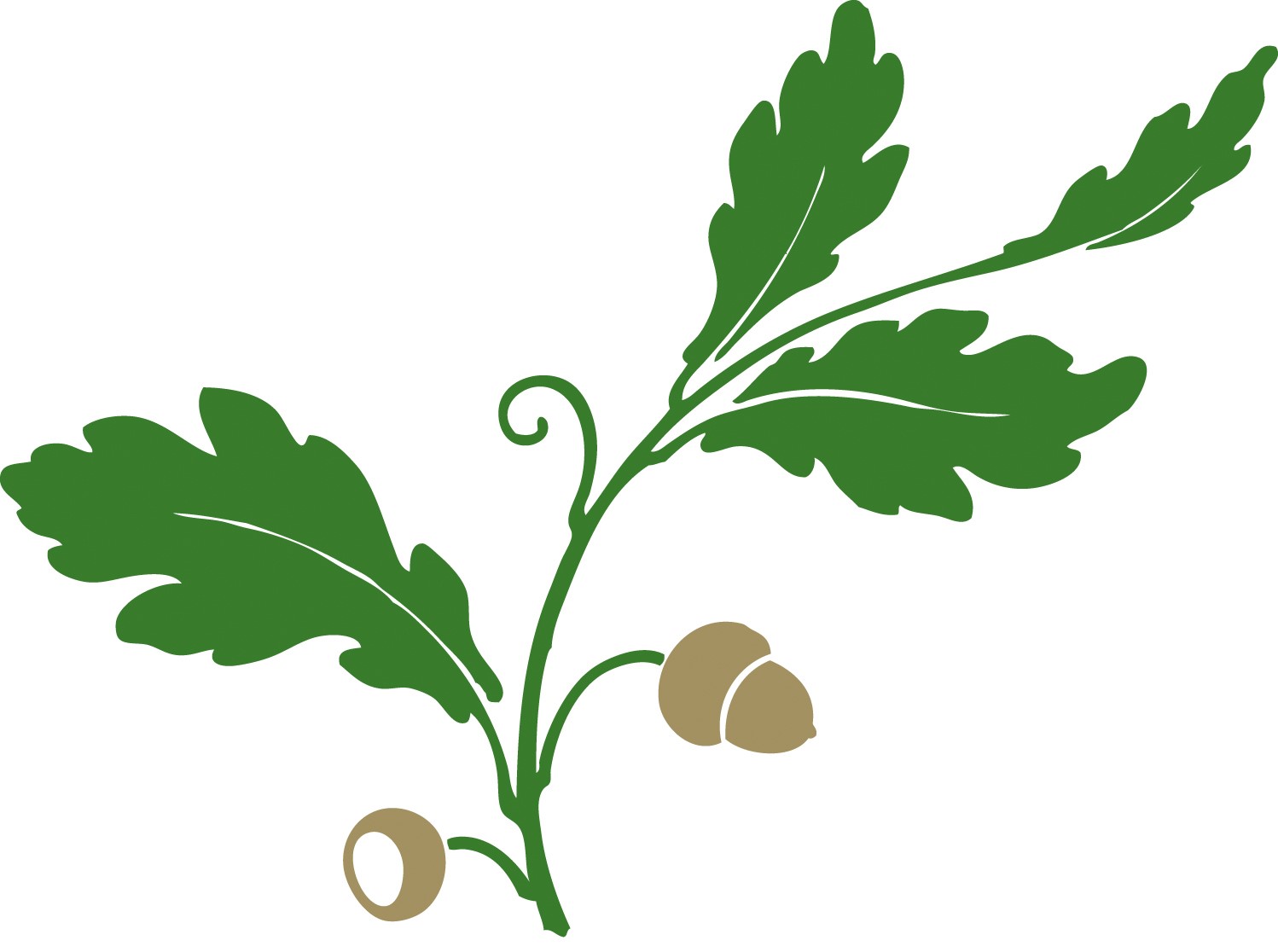 Baird Lewis Counsellor